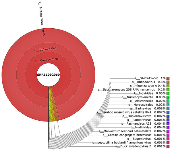 The Krona pie chart of the viral taxonomy of the WIV06 patient.