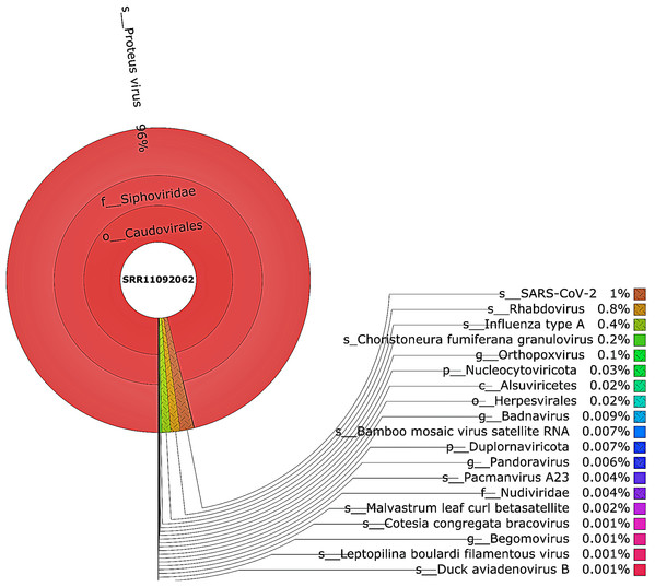 The Krona pie chart of the viral taxonomy of the WIV04 patient.