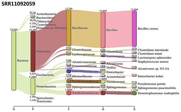 Bacteria identified in SRR11092059.