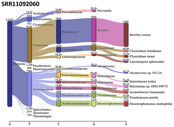 Bacteria identified in SRR11092060.