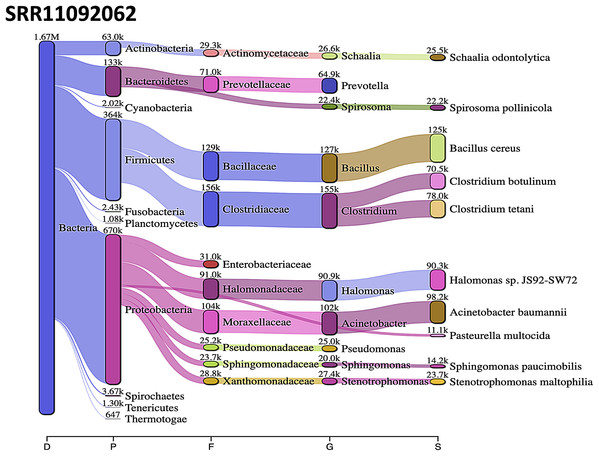 Bacteria identified in SRR11092062.