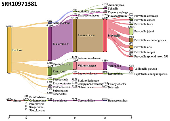 Sankey diagrams of Kraken 2 report results obtained from SRR10971381.