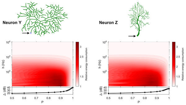 Relative energy consumption for Type 3 neurons.