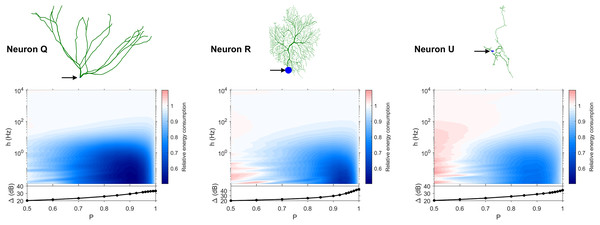 Relative energy consumption for Type T neurons (transition type).