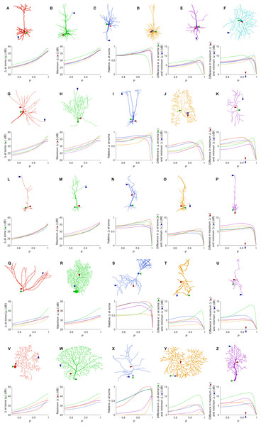 Comparison of dynamic ranges across neurons.