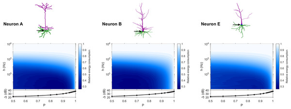 Relative energy consumption for Type 1 neurons.