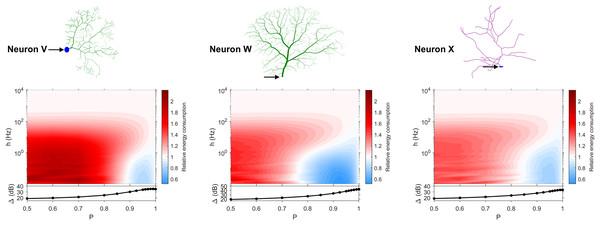 Relative energy consumption for Type 2 neurons.