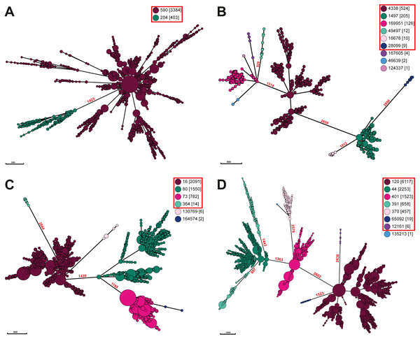 Minimal spanning trees of Salmonella. ser. Javiana and polyphyletic serovar strains.