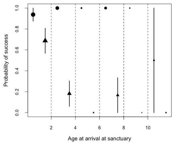 Mean probability of success and SE in the honey trap task with a stick (circles) and rope (triangle) depending on the age of the chimpanzees when they arrived at the sanctuary.