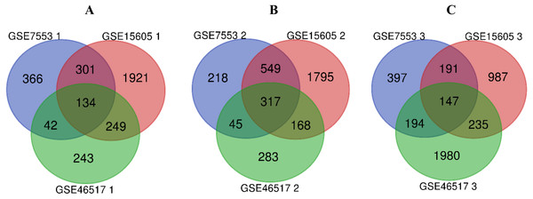 Venn diagram of DEGs in GSE7553, GSE15605 and GSE46517.