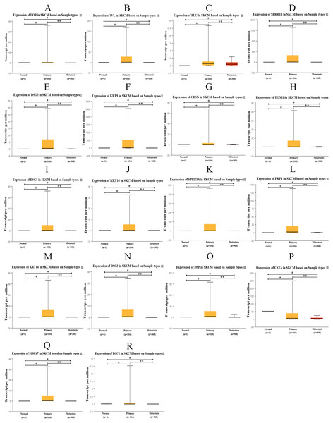 Box plot of gene expression values for hub genes in normal skin, primary and metastatic cutaneous melanoma samples.