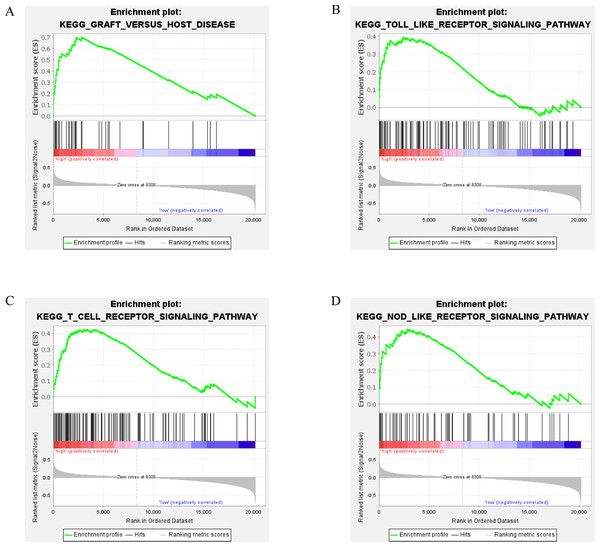 Gene set enrichment analysis in HR DLBCL.