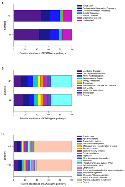Gene functional categories based on 16S RNA in the gut microbiota at top (A), second (B) and third (C) levels of relative abundance.
