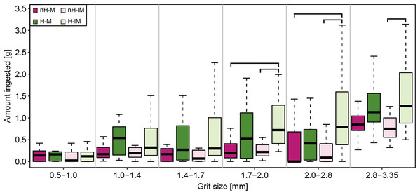Boxplots showing the amount of ingested grit by experimental groups, shown per grit size categories.