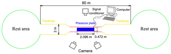 Schematic diagram of the test site.