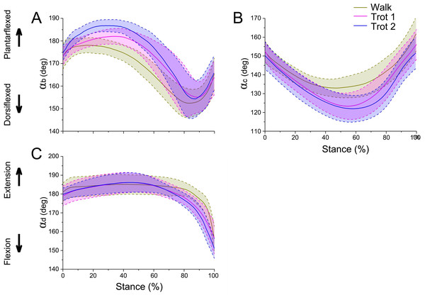 Means and standard deviations of the three joint angles in walk, trot 1, and trot 2 locomotion on hard ground during the stance phases.