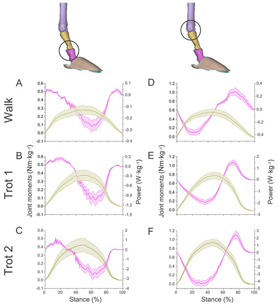 Means and standard deviations of net joint moments (yellow solid line, mean; yellow shaded area, standard deviation) and net joint power (pink solid line, mean; pink shaded area, standard deviation) of the right forelimb joints.