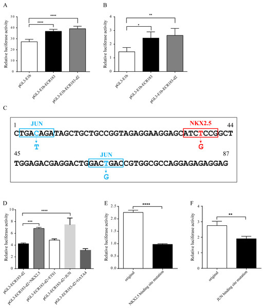 Identification of the enhancer activity and analysis of putative TFBSs.