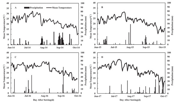 Daily mean temperature and precipitation during the maize growing seasons in 2014 (A), 2015 (B), 2016 (C) and 2017 (D) at the experimental site.