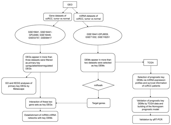 The flow chart of this study.