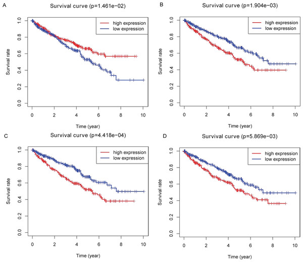 Identification of prognostic key DEMs.