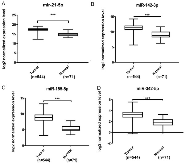 Validation by expression data from TCGA.