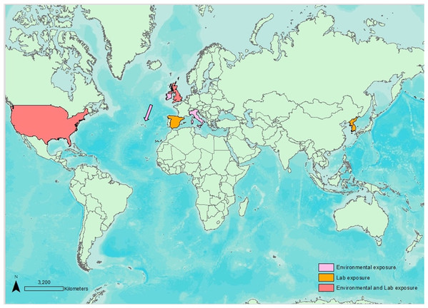 Map displaying environmental and lab exposure studies worldwide regarding Elasmobranch MT evaluations.