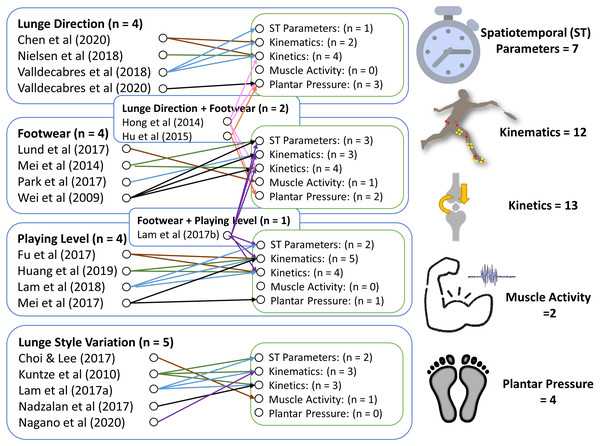 Mapping of variants and biomechanical evidence of the review articles.
