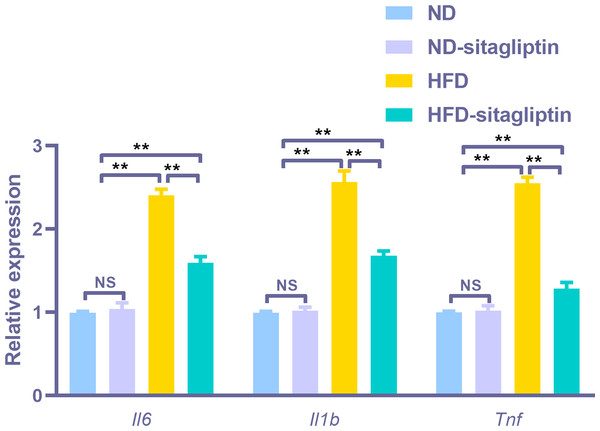 Confirmation of three representative differentially expressed genes (Il6, Il1b, Tnf) by qPCR.