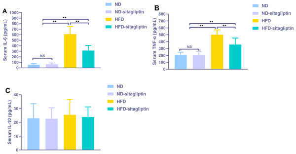 Effect of maternal sitagliptin on serum pro-inflammatory cytokines IL-6, TNF-α and anti-inflammotory cytokine IL-10 in male offspring.