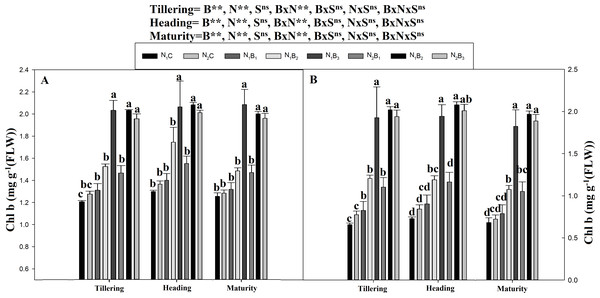 Chlorophyll (b) mg g−1 as influenced by biochar and nitrogen levels during three growth stages and two sowing seasons.