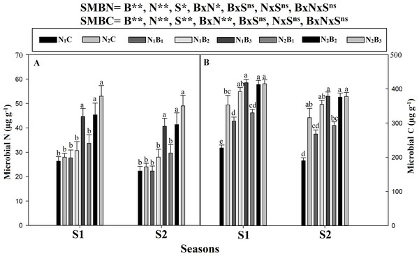 Changing in soil microbial carbon and nitrogen as effected by biochar and nitrogen rates during two seasons.