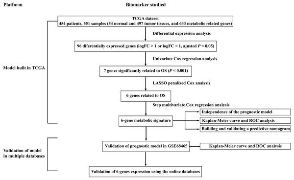 Overall flowchart of steps used in the construction of the prognostic metabolic gene signature.