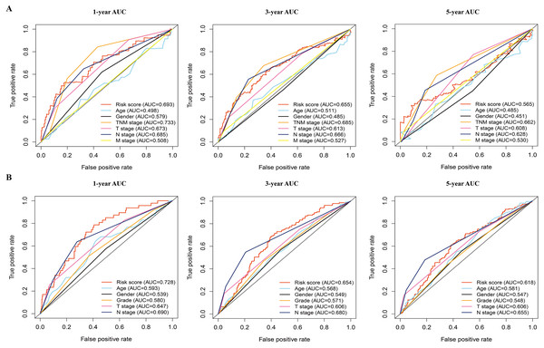 The time-dependent receiver operating characteristic (ROC) analysis for the prognostic model and clinicopathological characteristics in LAUD.
