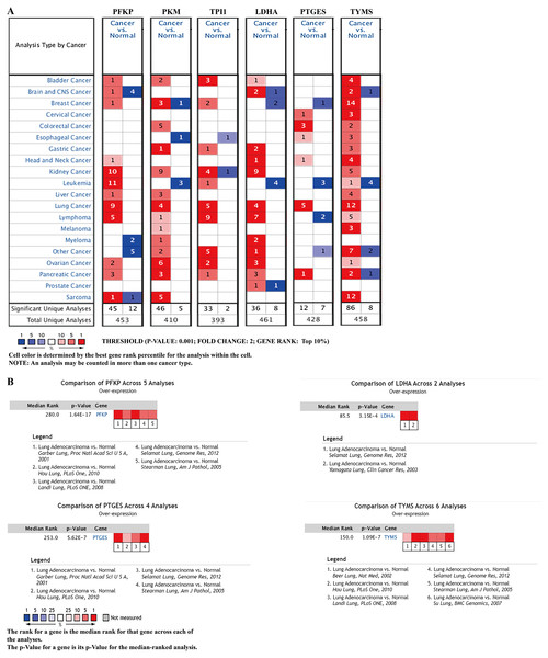 mRNA expression levels of the six prognostic genes from online databases.
