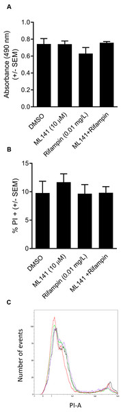  HEK 293-A cell viability and membrane integrity are maintained following cotreatment of ML141 with rifampin.