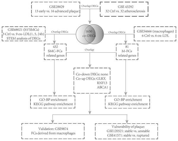 Flow chart of the analysis.