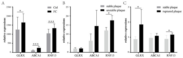 Validation of the common FCs-related genes and their expression levels in vulnerable atherosclerosis plaques.