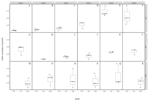 Box plots of the clown featherback eDNA concentration (copies/mL) across the three sampling month February (A–F), June (G–L) and September (M–R).