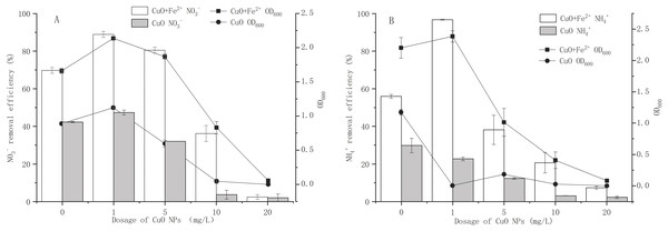 Effects of CuO NPs on growth and nitrogen removal of strain Y-11 with and without Fe2+ addition.