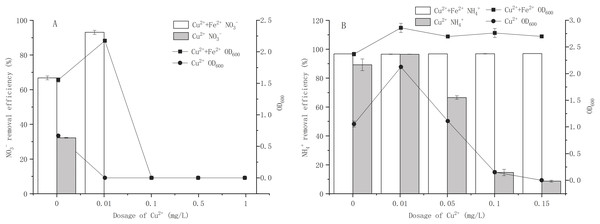 Effects of Cu2+ on growth and nitrogen removal of strain Y-11 with and without Fe2+ addition.