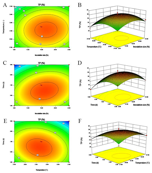 Three dimensional (3-D) surface graphs and Contour plots illustrating the interaction of (A–B) inoculation size and temperature, (C–D) inoculation size and time, and (E–F) temperature and time on TP yield.