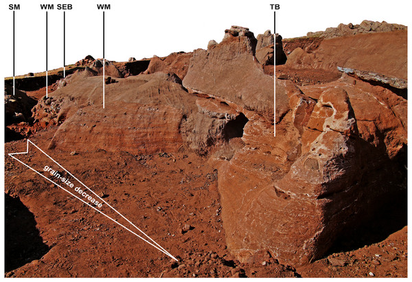 Photogrammetry model of northwest exposures of the DMK deposit, showing grading of siltstone-sandstone facies.