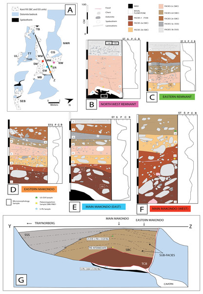 Stratigraphic profiles and interpretations at Drimolen Makondo, focusing on zones proximal to the central talus cone.