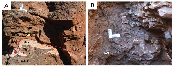 Various aspects of the basal flowstone at DMK.