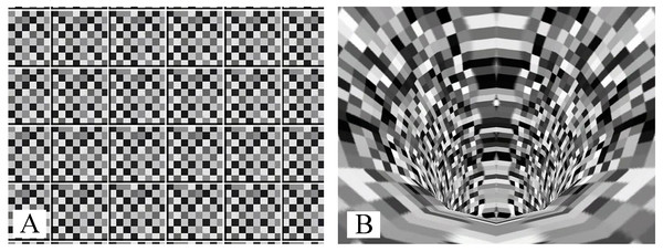 Images used for ML stimulation (A) and AP stimulation (B).