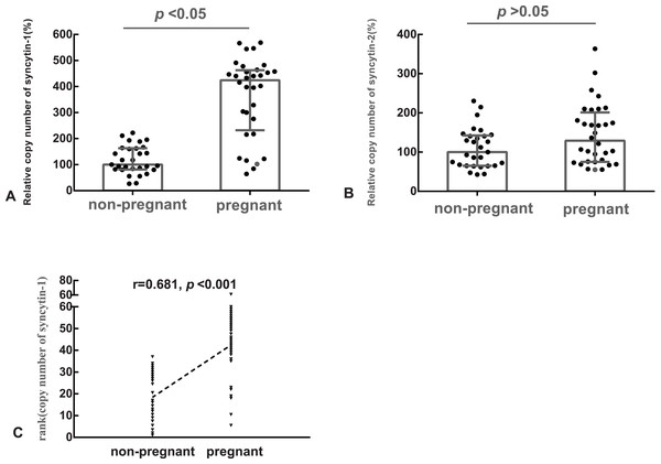 The relative copy number of syncytin-1 in the blastocyst trophectoderm was significantly associated with blastocyst implantation.