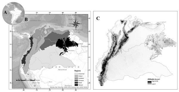 Map of Northwestern South America, (A) Study area in South America, (B) proposed regionalization for blowfly fauna (Diptera: Calliphoridae), (C) altitude in the study area.