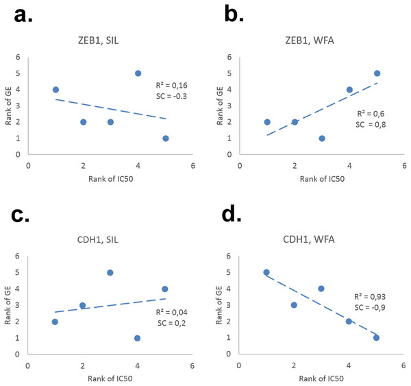 Examples of correlation between expression of (A, B) mesenchymal (ZEB1) and (C,D) epithelial (CDH1) genes with SIL/WFA IC50 in five NSCLC cell lines.