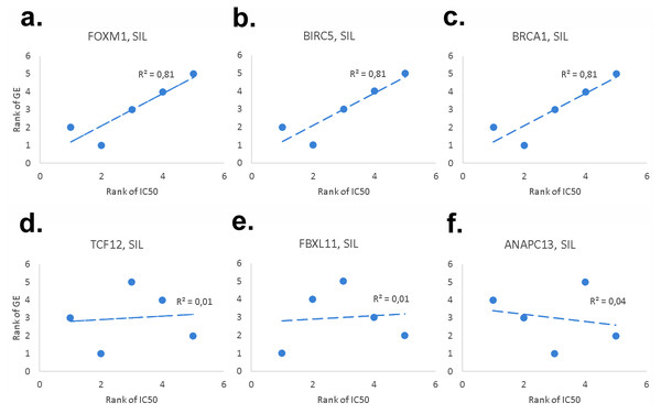 Examples of genes with significant (FOXM1 (A), BIRC5 (B), BRCA1 (C)) and non-significant (TCF12 (D), FBXL11 (E), ANAPC13 (F)) correlation between the patterns of gene expression and normalized SIL IC50 in five NSCLC cell lines.